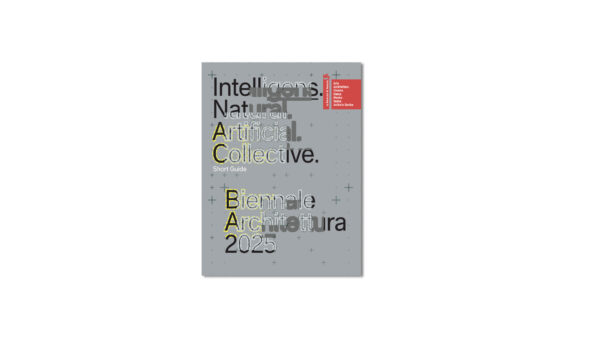 BIENNALE ARCHITETTURA 2025 - immagine 3